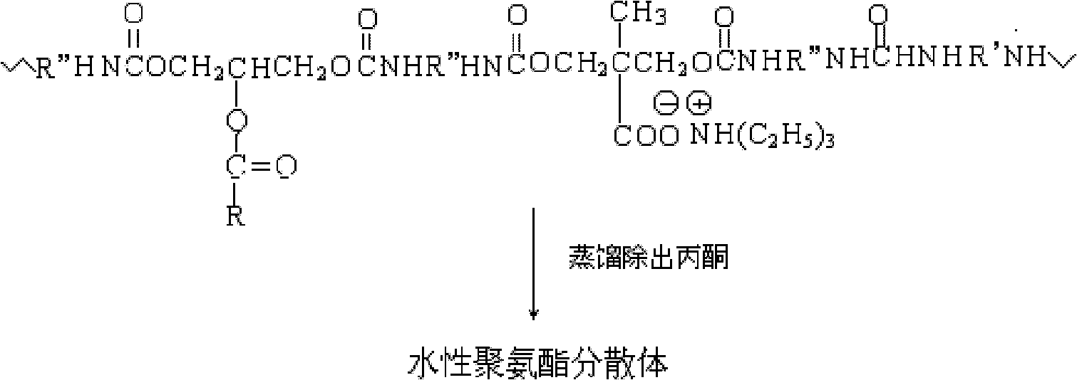 Tung-oil-based waterborne polyurethane and preparation method thereof
