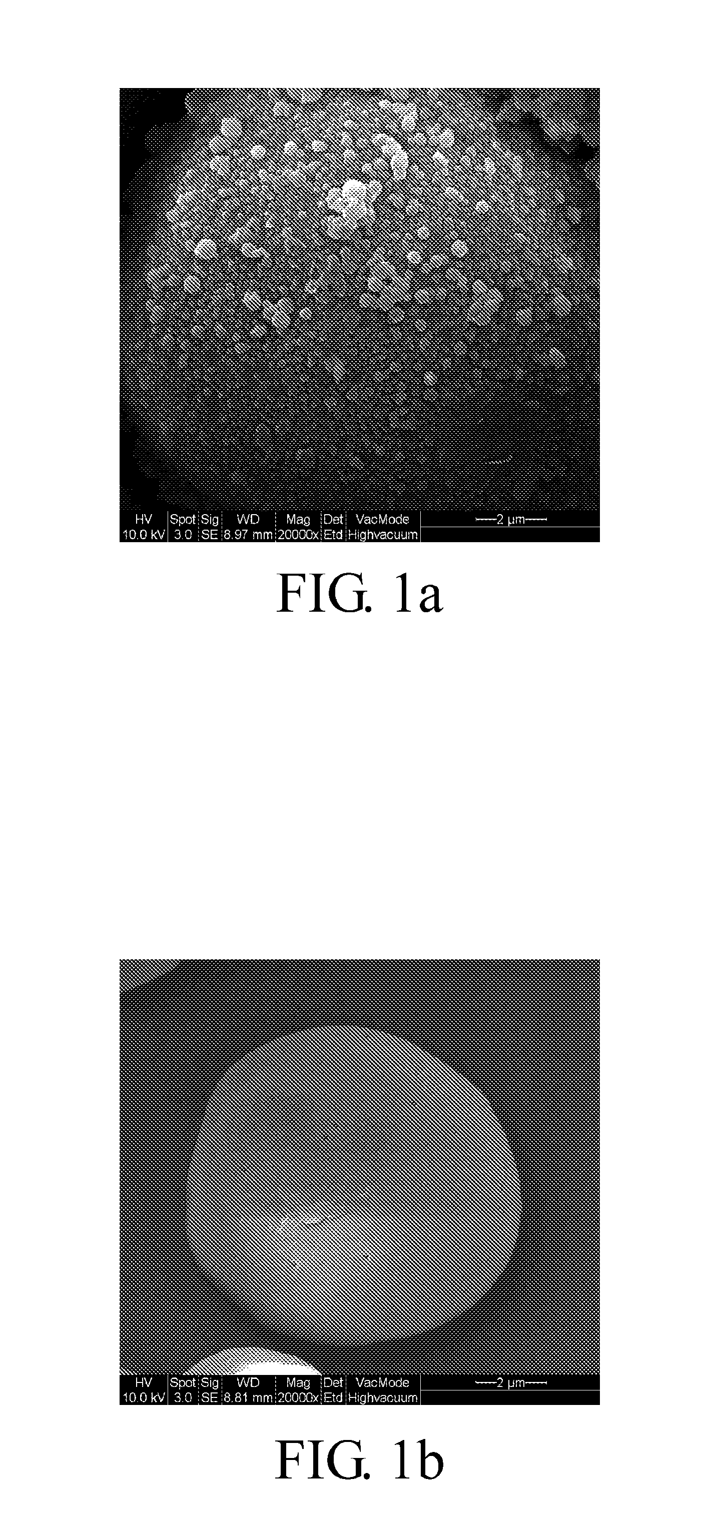 Starch film and method for manufacturing starch foam
