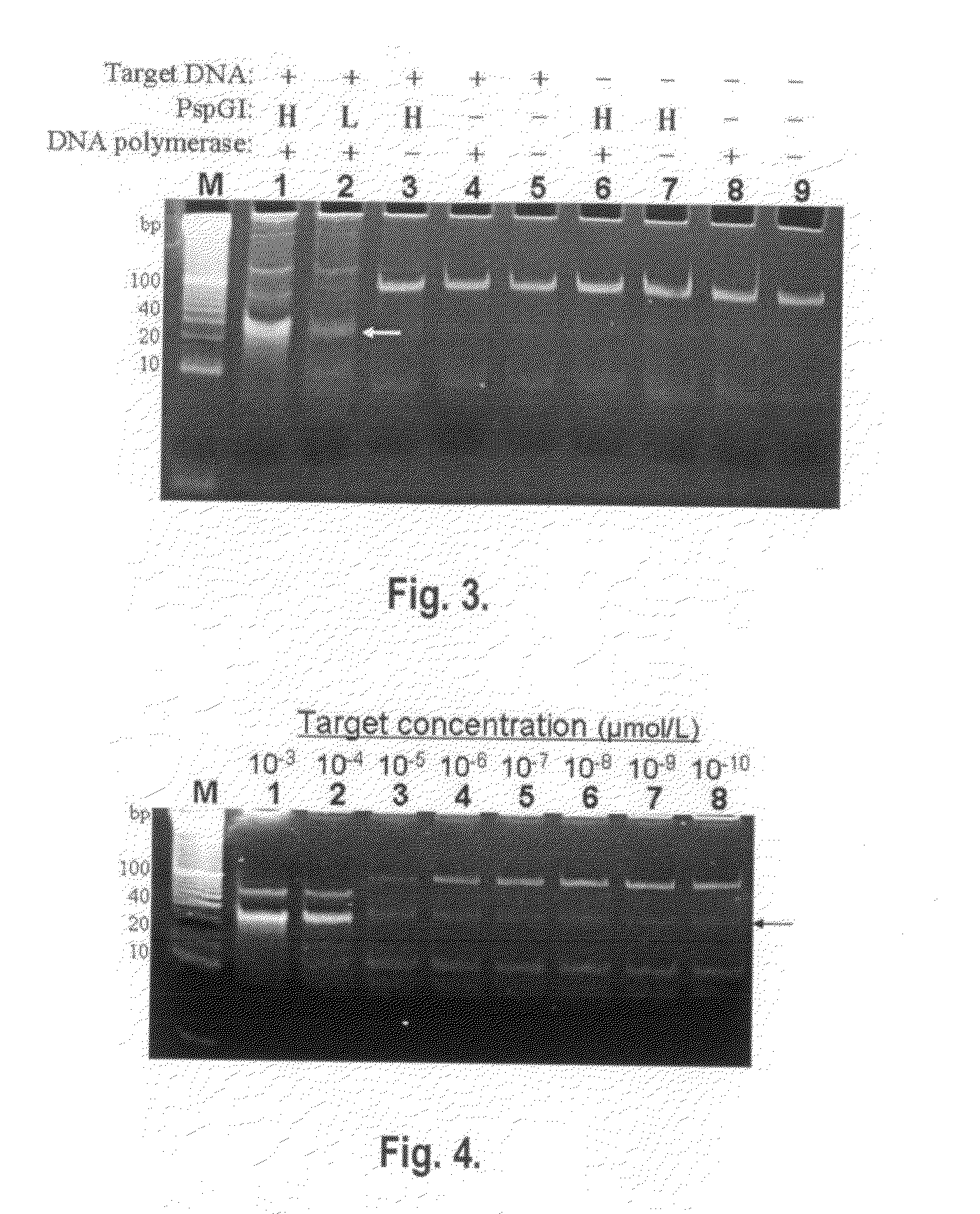 Method for amplifying oligonucleotide and small RNA by using polymerase-endonuclease chain reaction