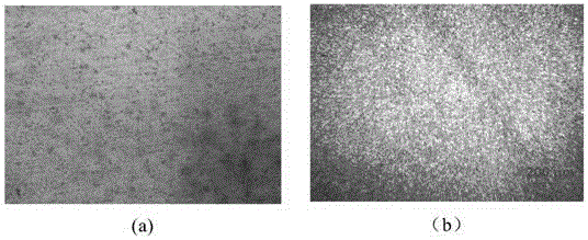 Method for solving engine piston scuffing