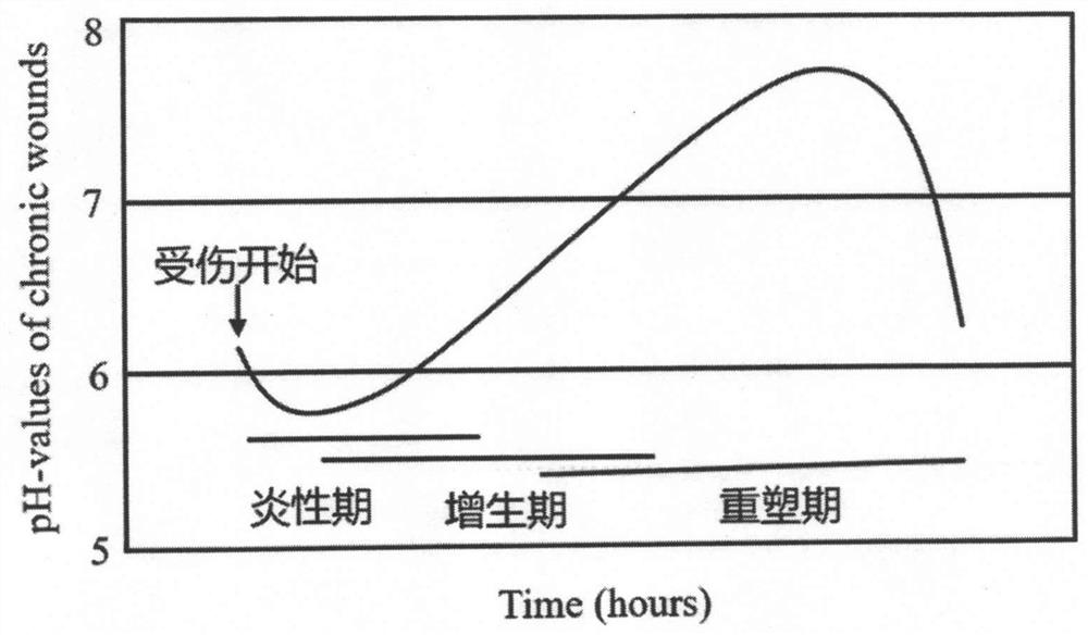 A kind of ph-sensitive long-acting repair medical dressing for chronic wound and preparation method thereof