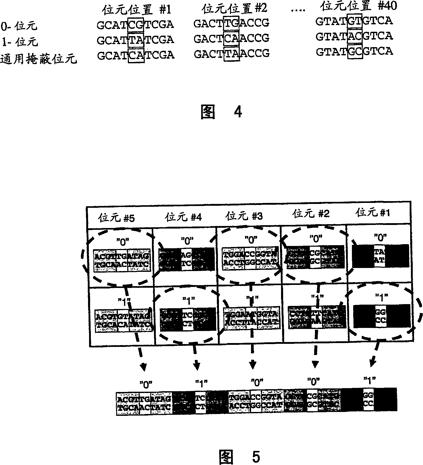 Method for preparing polynucleotides for analysis
