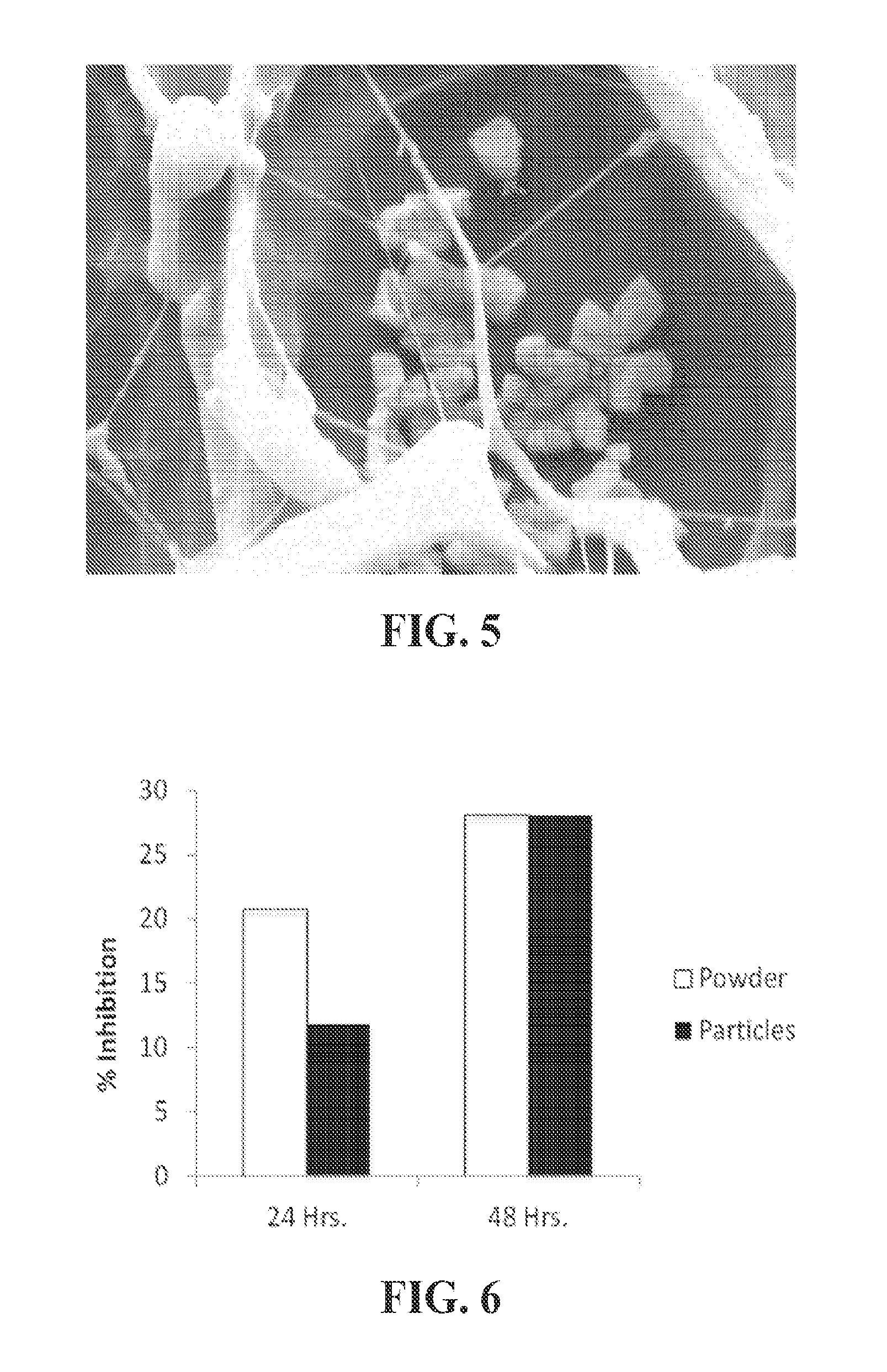 Compositions and methods for reducing oxidative damage