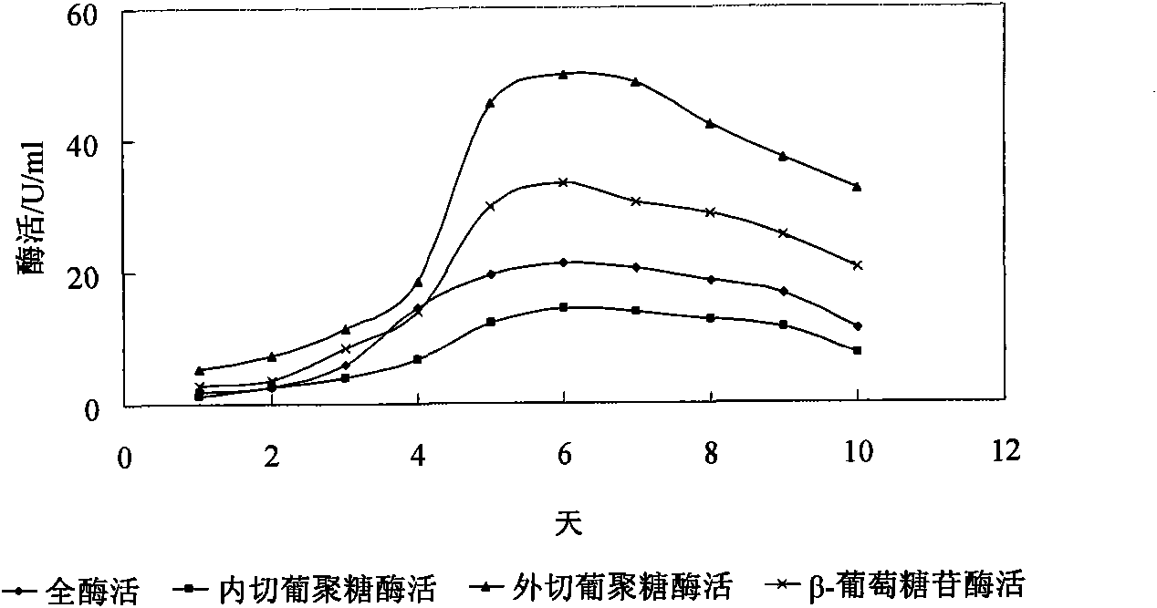 Lignocellulose degrading bacteria and application thereof