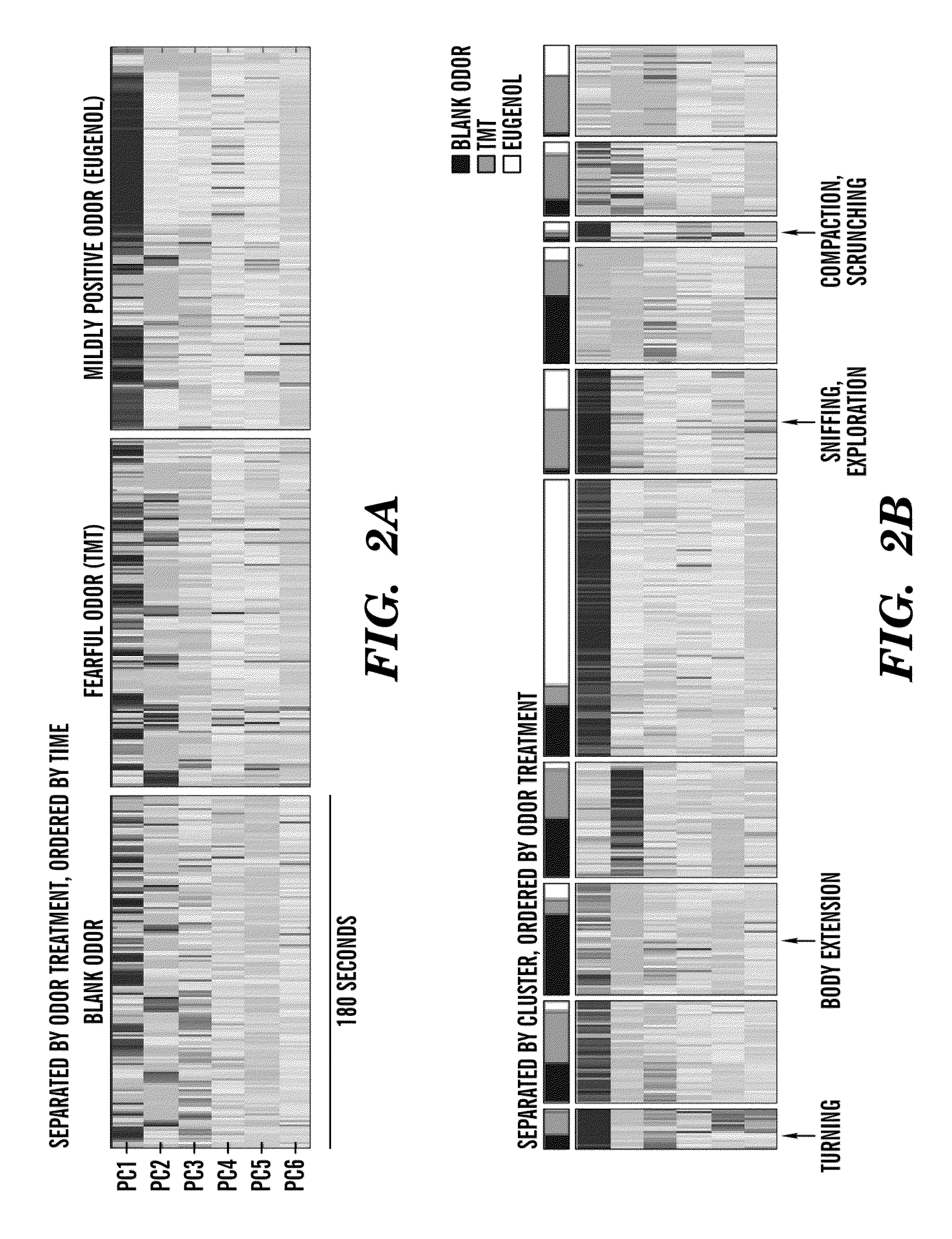 System and method for automatically discovering, characterizing, classifying and semi-automatically labeling animal behavior and quantitative phenotyping of behaviors in animals