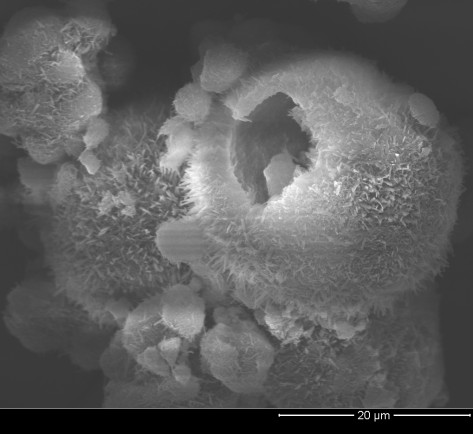 A kind of three-dimensional porous lactose particle and its preparation method and application