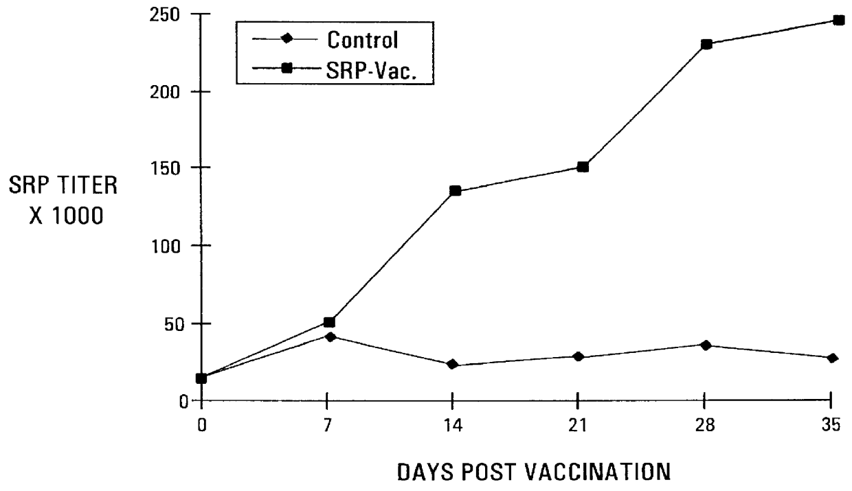 Active immunization using a siderophore receptor protein