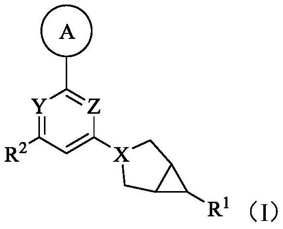 Ketohexokinase (KHK) inhibitor and application thereof