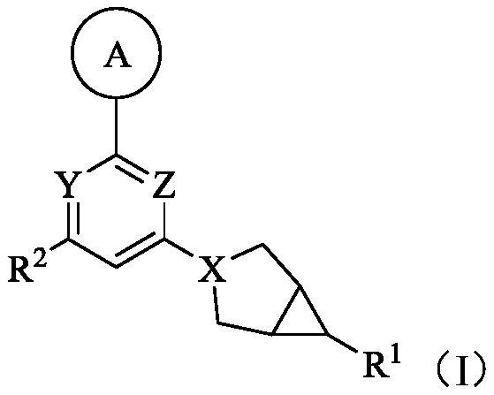 Ketohexokinase (KHK) inhibitor and application thereof