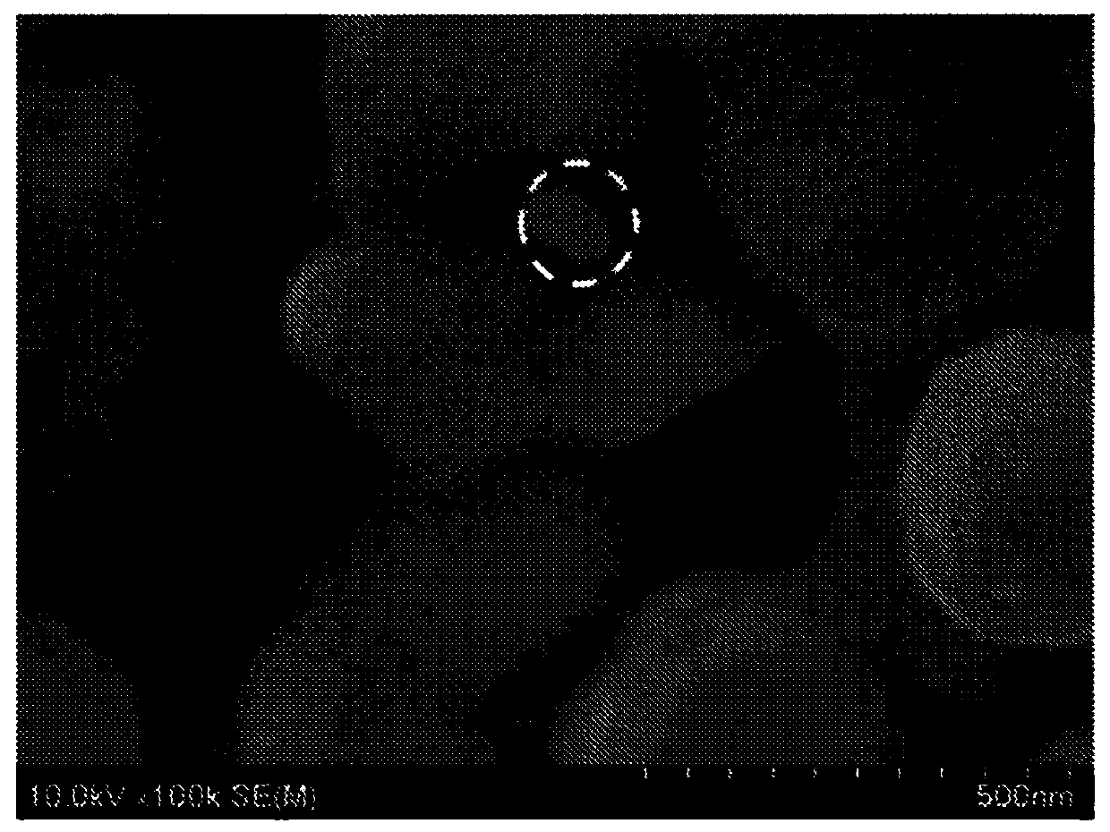 Mounting structure and nanoparticle mounting material