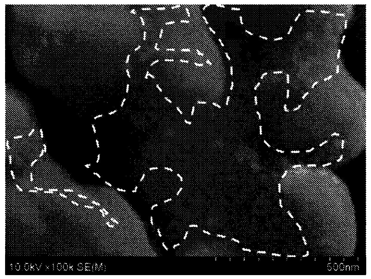 Mounting structure and nanoparticle mounting material