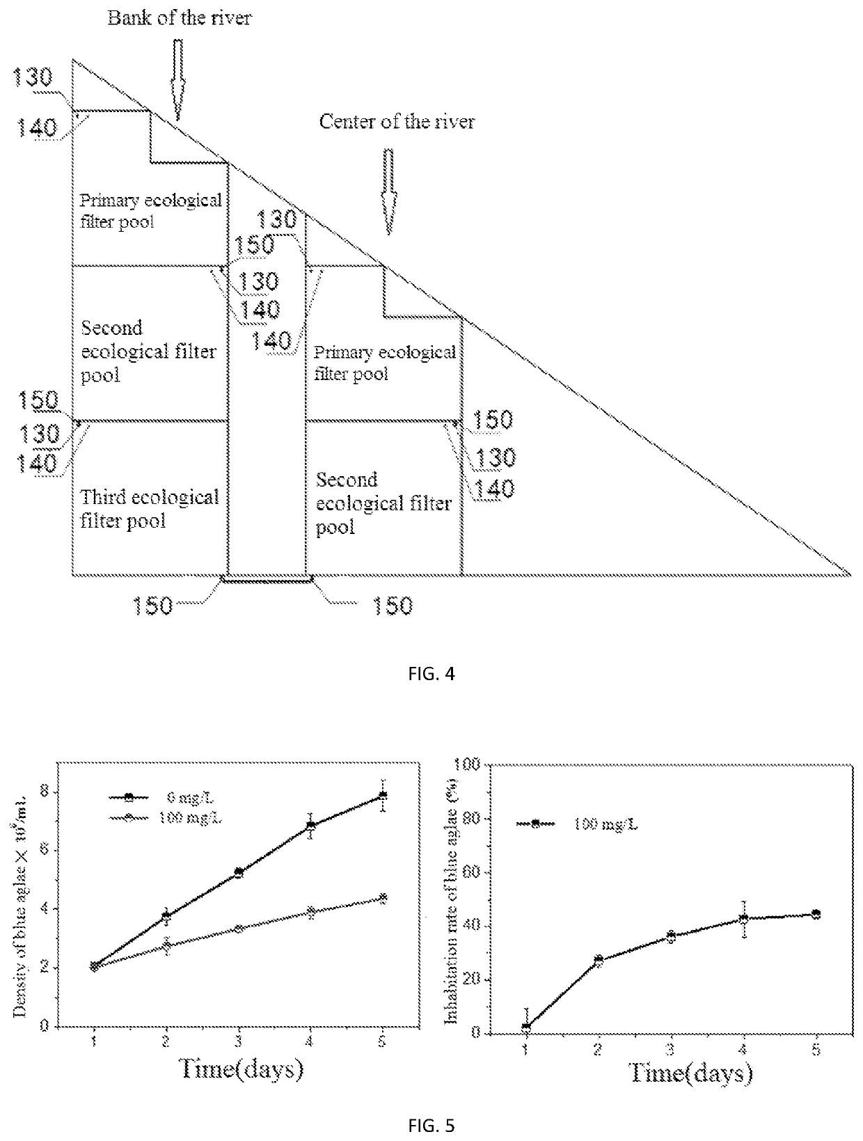 Method for controlling growth of blue algae in water area by utilizing eucalyptus