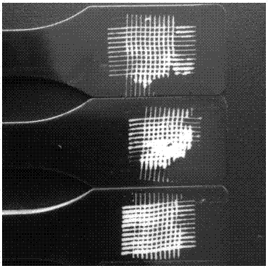 A kind of polyoxymethylene composite material that can be painted on the surface and its preparation method