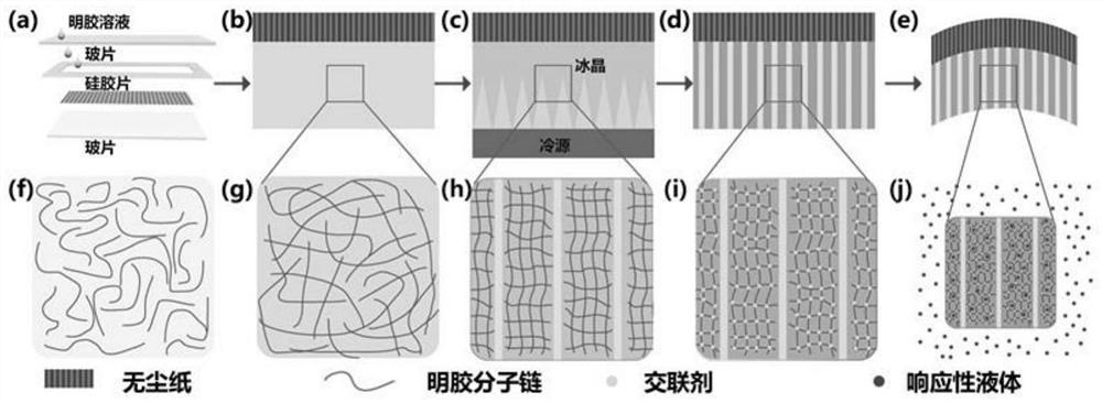 Preparation method of porous-structure double-layer gelatin hydrogel driver