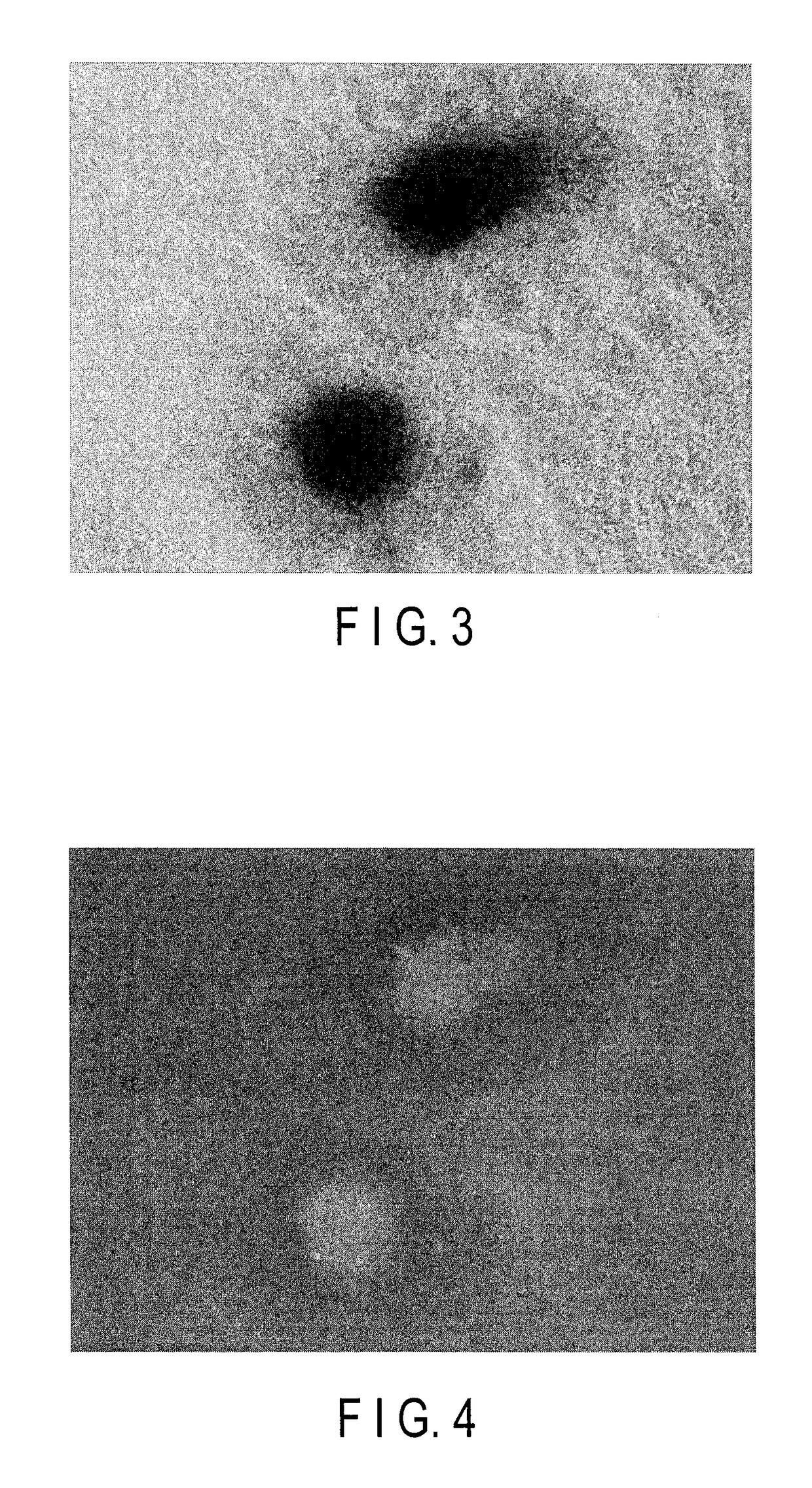 Method for monitoring differentiation into cardiac muscle cells