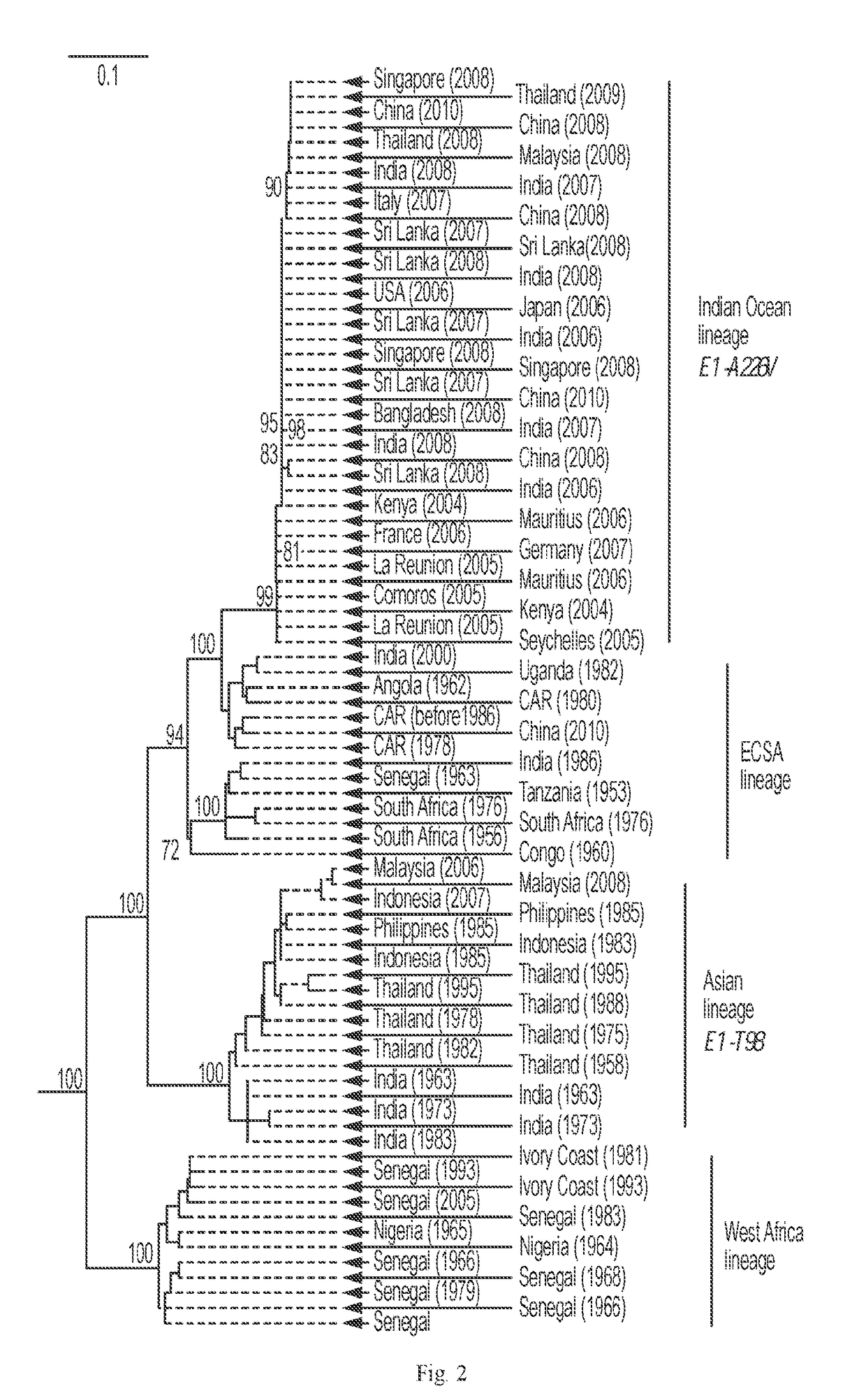 Infectious disease vaccines