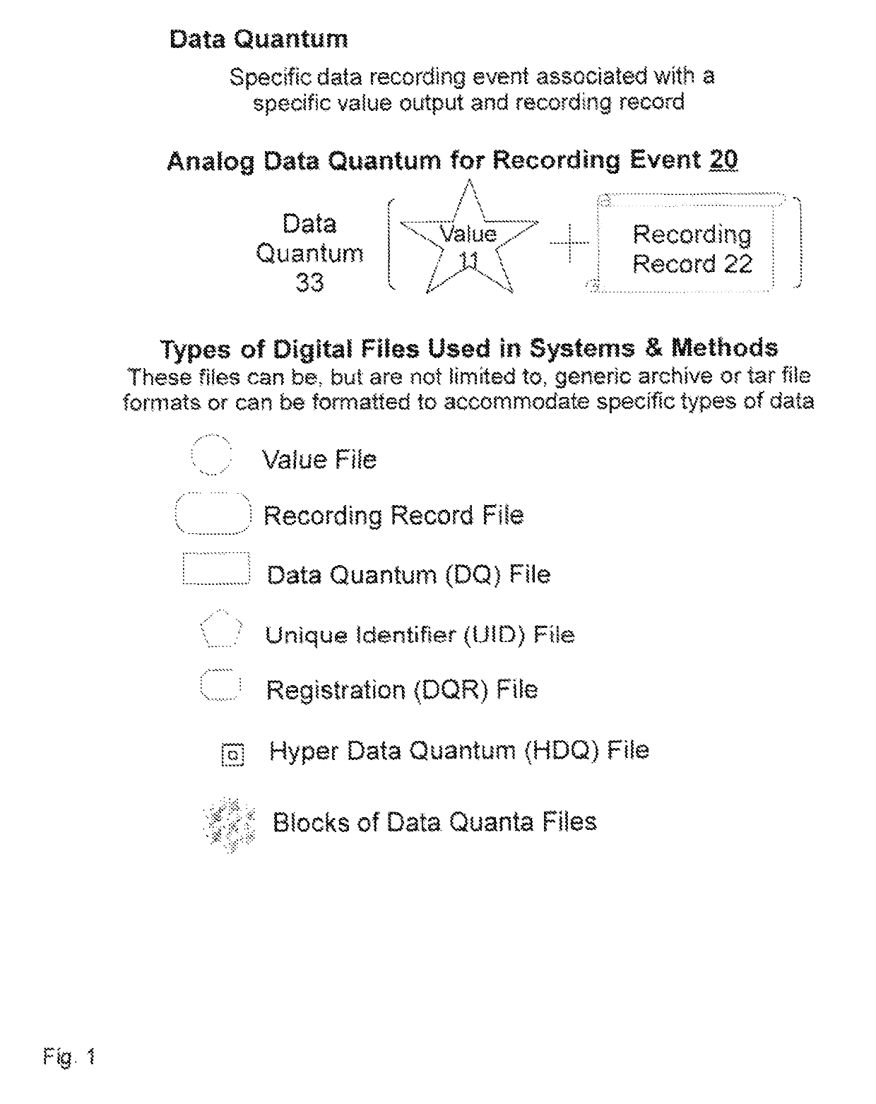 Systems and methods for atomizing and individuating data as data quanta