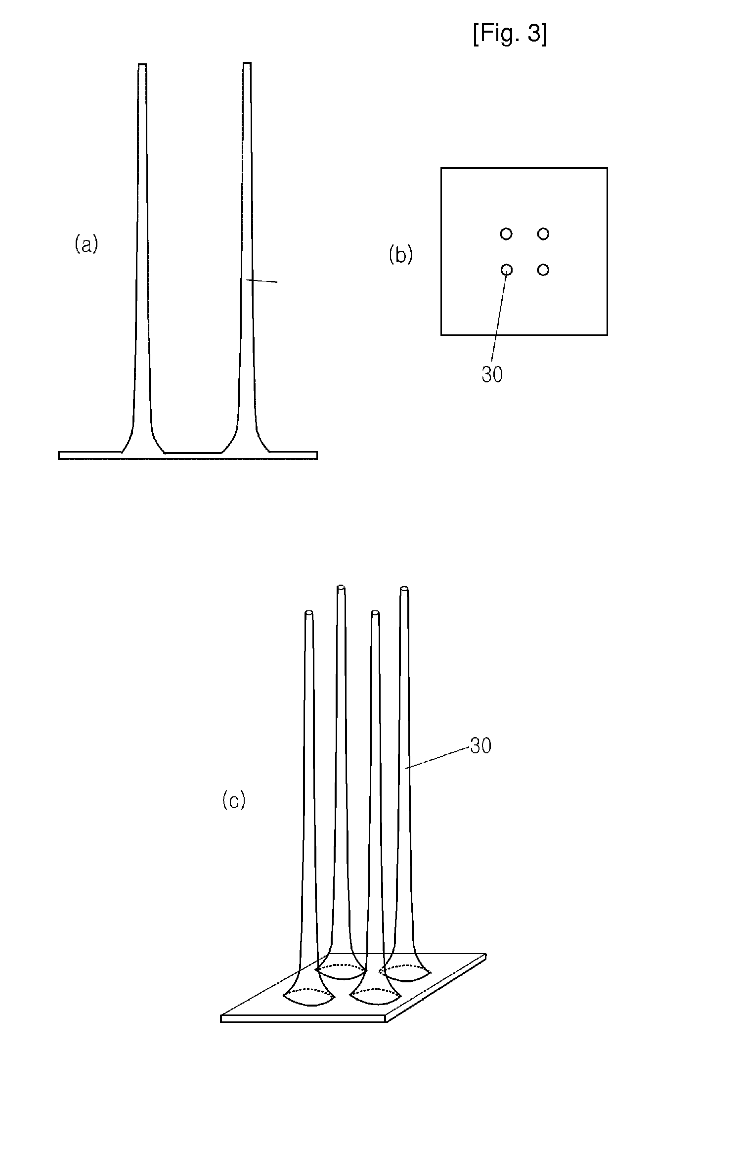 Hollow Type Microneedle and Methods for Preparing It