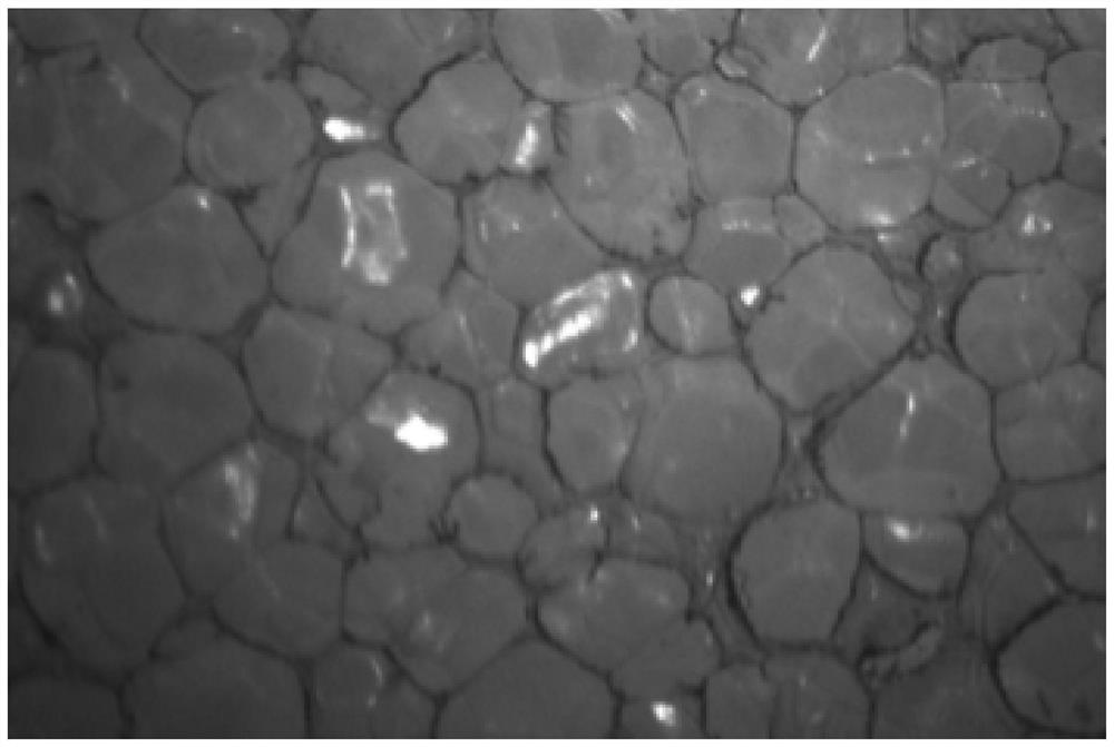 A kind of macroporous polymethacrylimide foam and preparation method thereof