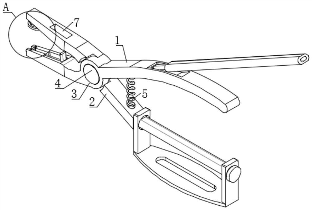 Marking pliers for forest investigation and use method