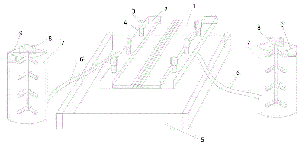 Device for spraying poultry meat product preservative and preservation method