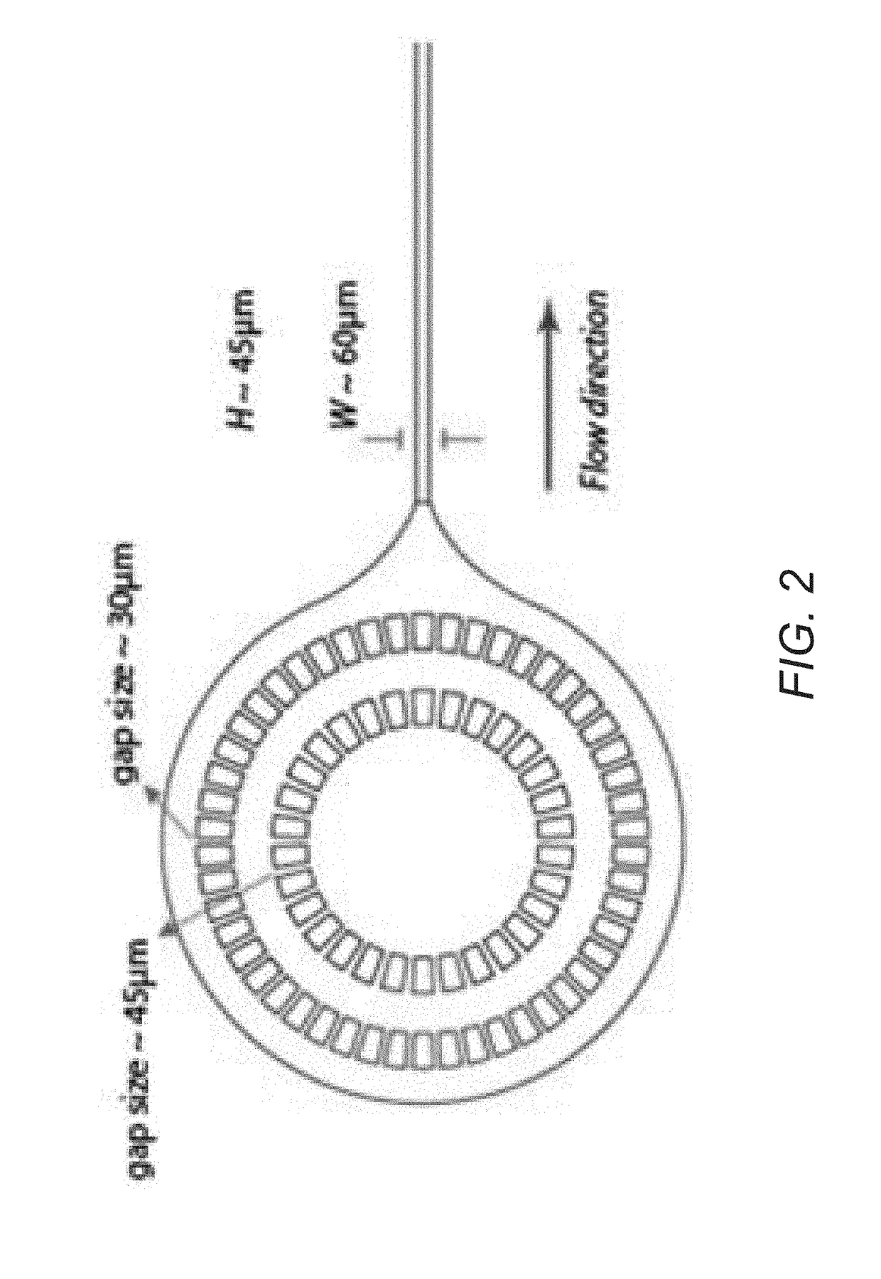 Systems and Methods for Automated Single Cell Cytological Classification in Flow