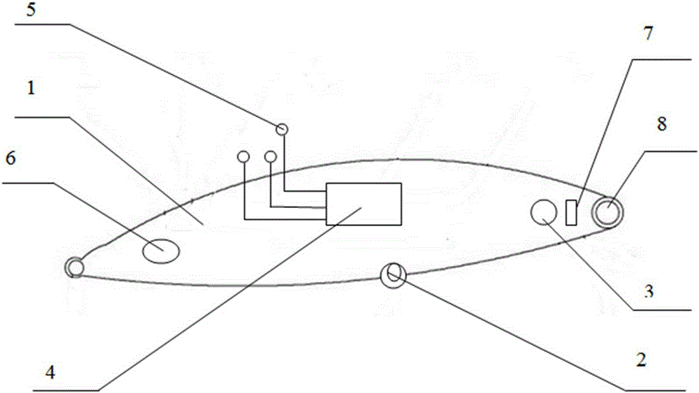 Bait with camera shooting function