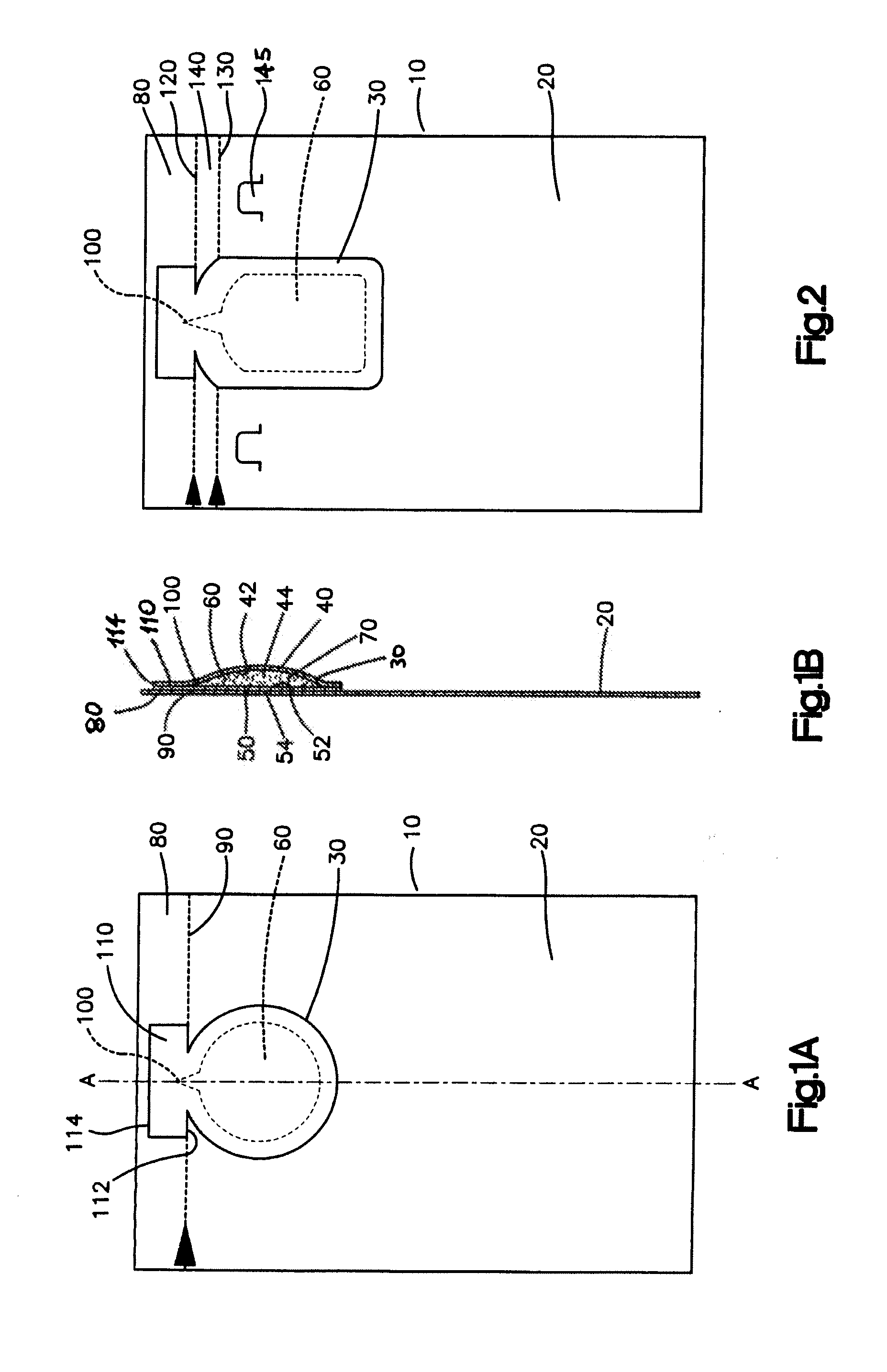 Unitized package and method of making same