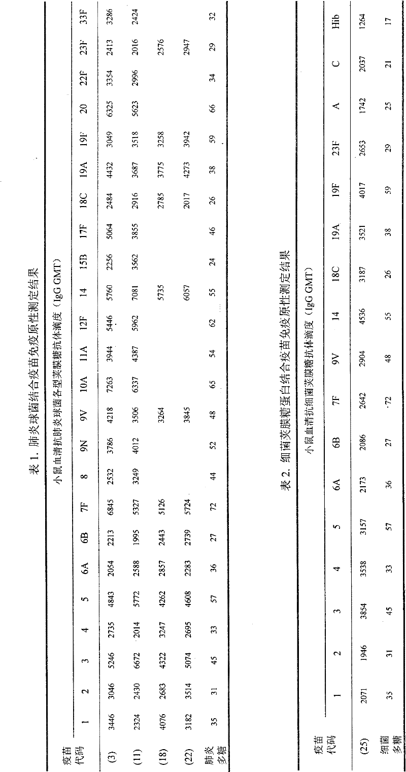 Novel pneumococcal conjugate vaccine and preparation method thereof