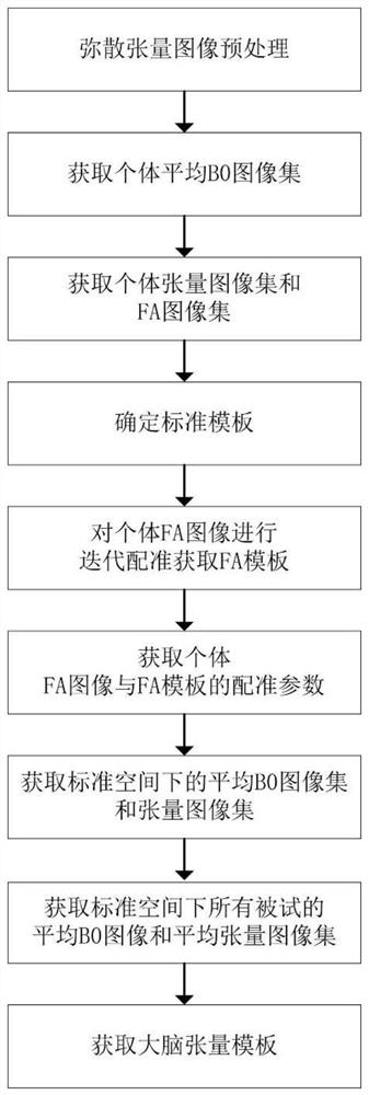 Brain tensor template construction method based on diffusion tensor imaging