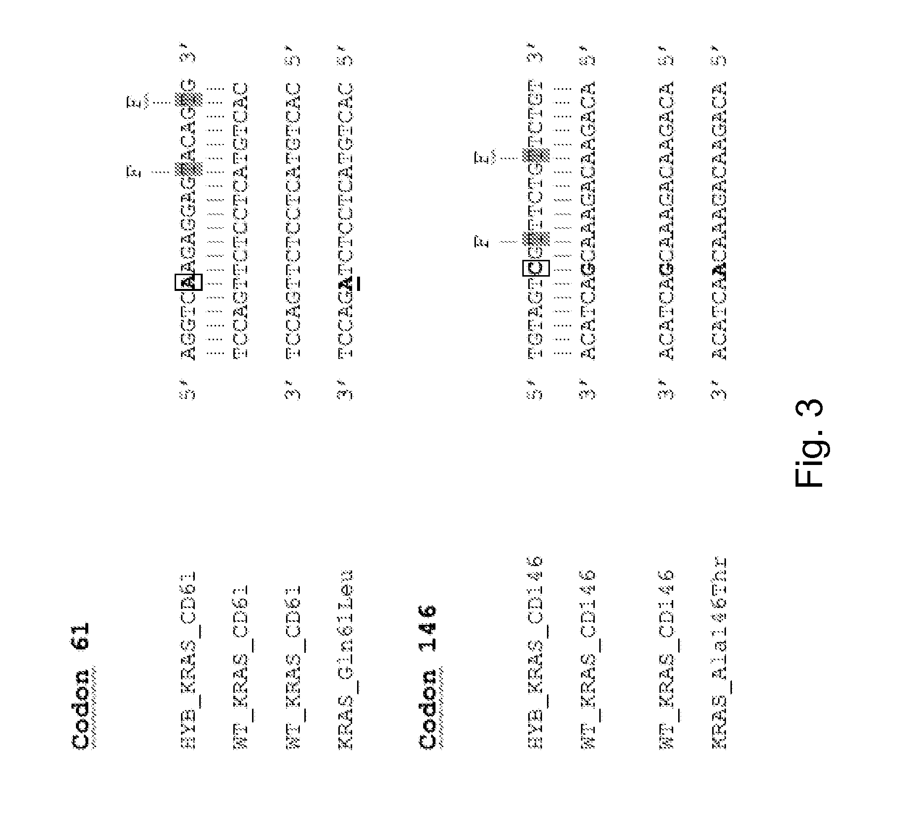 Mutational analysis