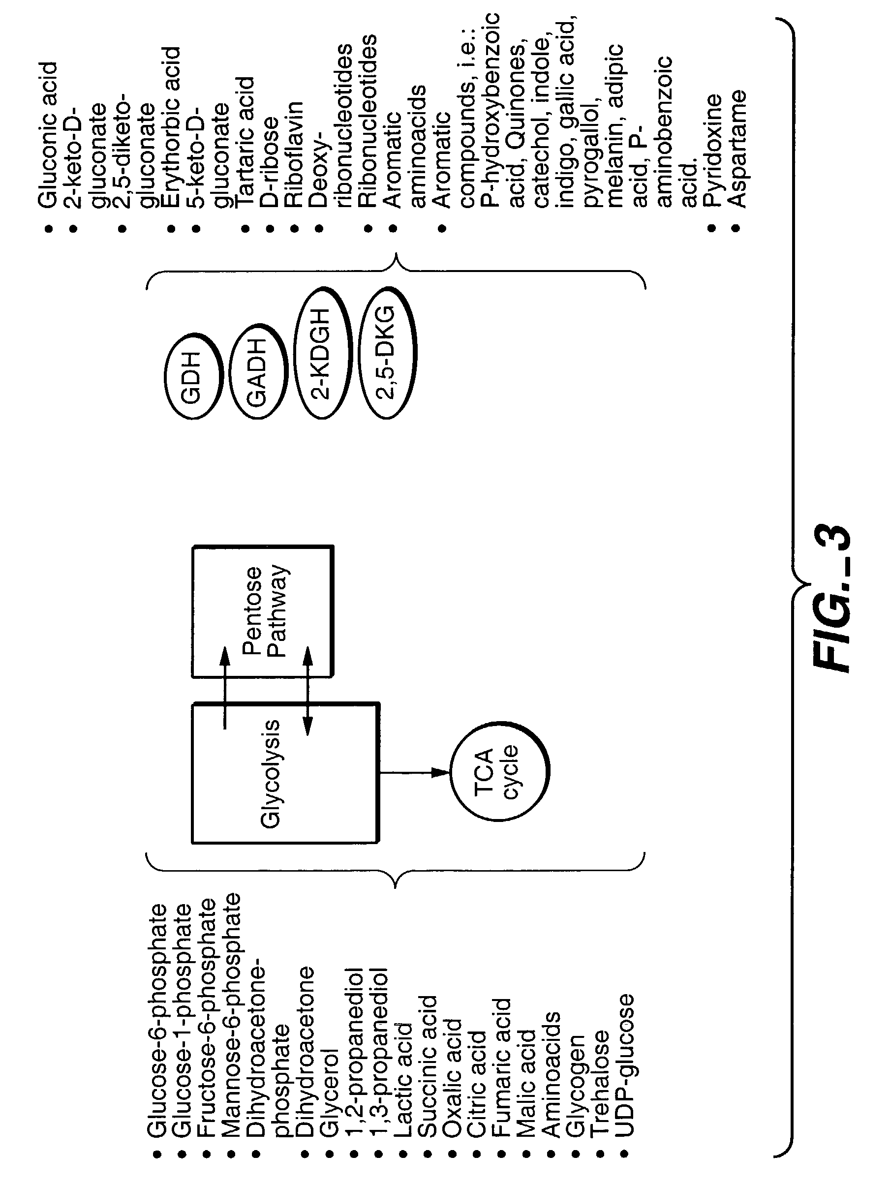Method of uncoupling the catabolic pathway of glycolysis from the oxidative membrane bound pathway of glucose conversion