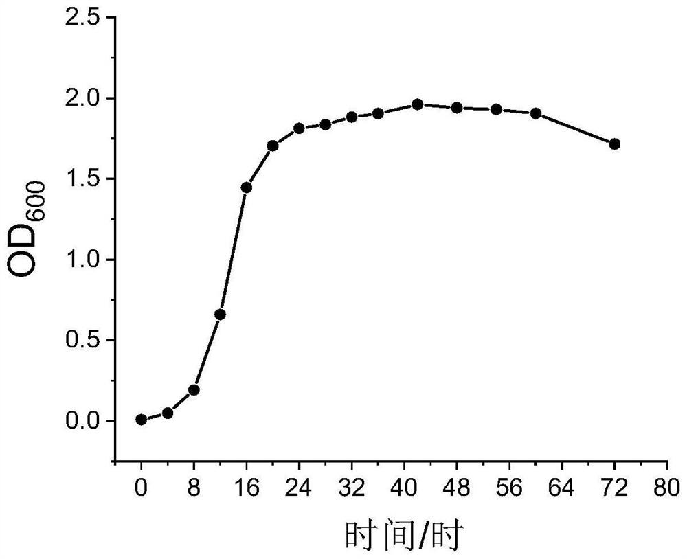 Marine-derived strain and application thereof in nematode prevention and control