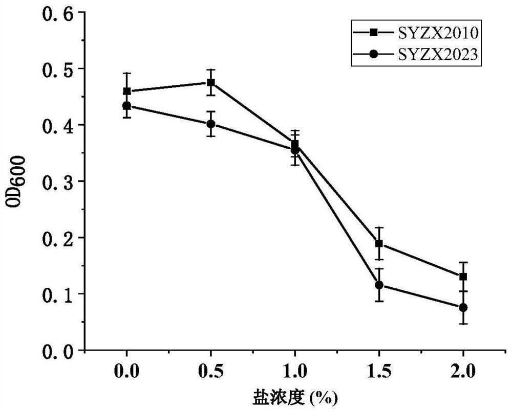 Marine-derived strain and application thereof in nematode prevention and control