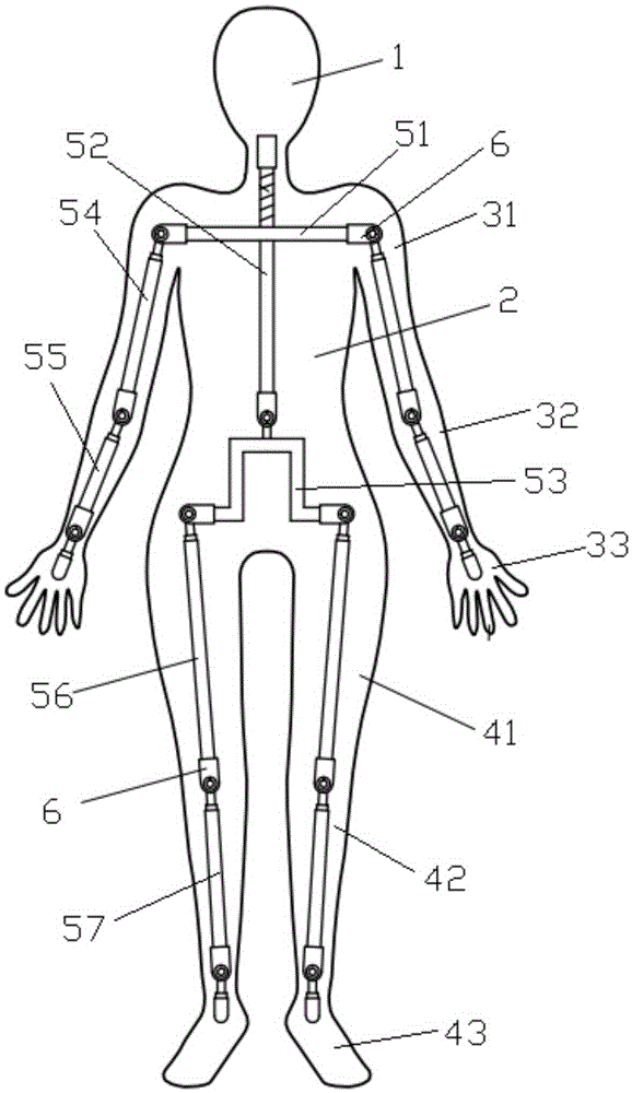 Adjustable human body joints