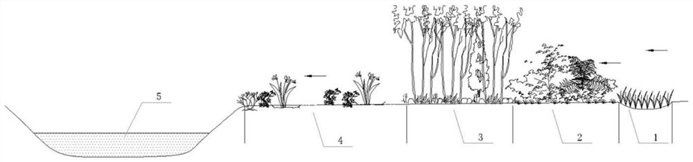 A Coastal Ecological Buffer Belt Structure with Composite Functions