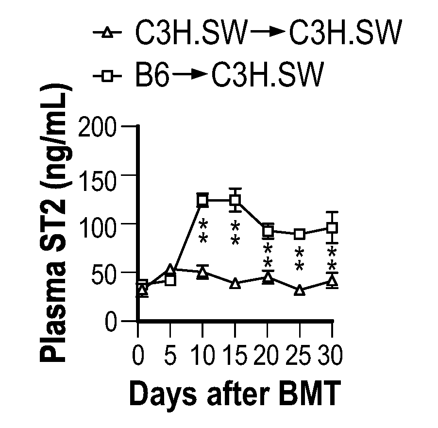 Cell culture systems for producing il-33 induced t9 cells and methods of using the cells