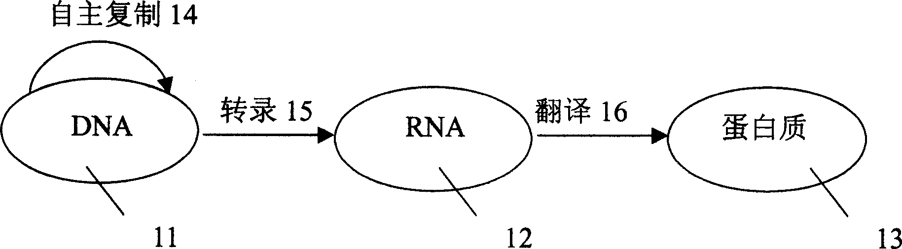 High-performance biological characteristic authentication system