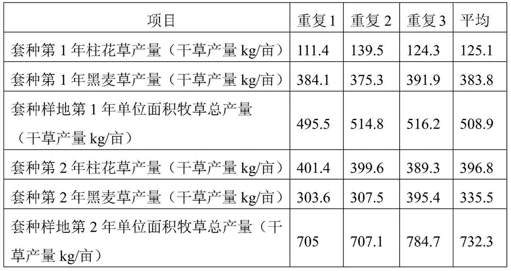 A kind of cultivation method of interplanting stylo grass and annual ryegrass