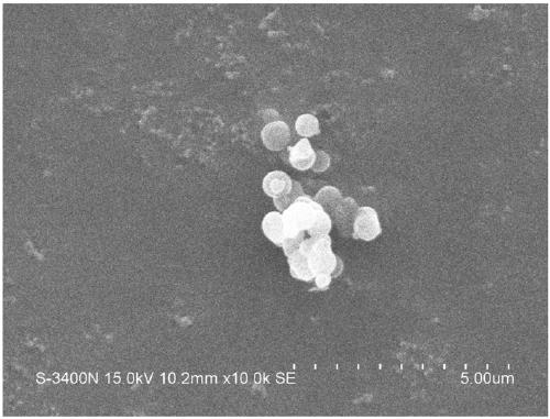 Method for preparing honeycomb mesoporous silica microspheres