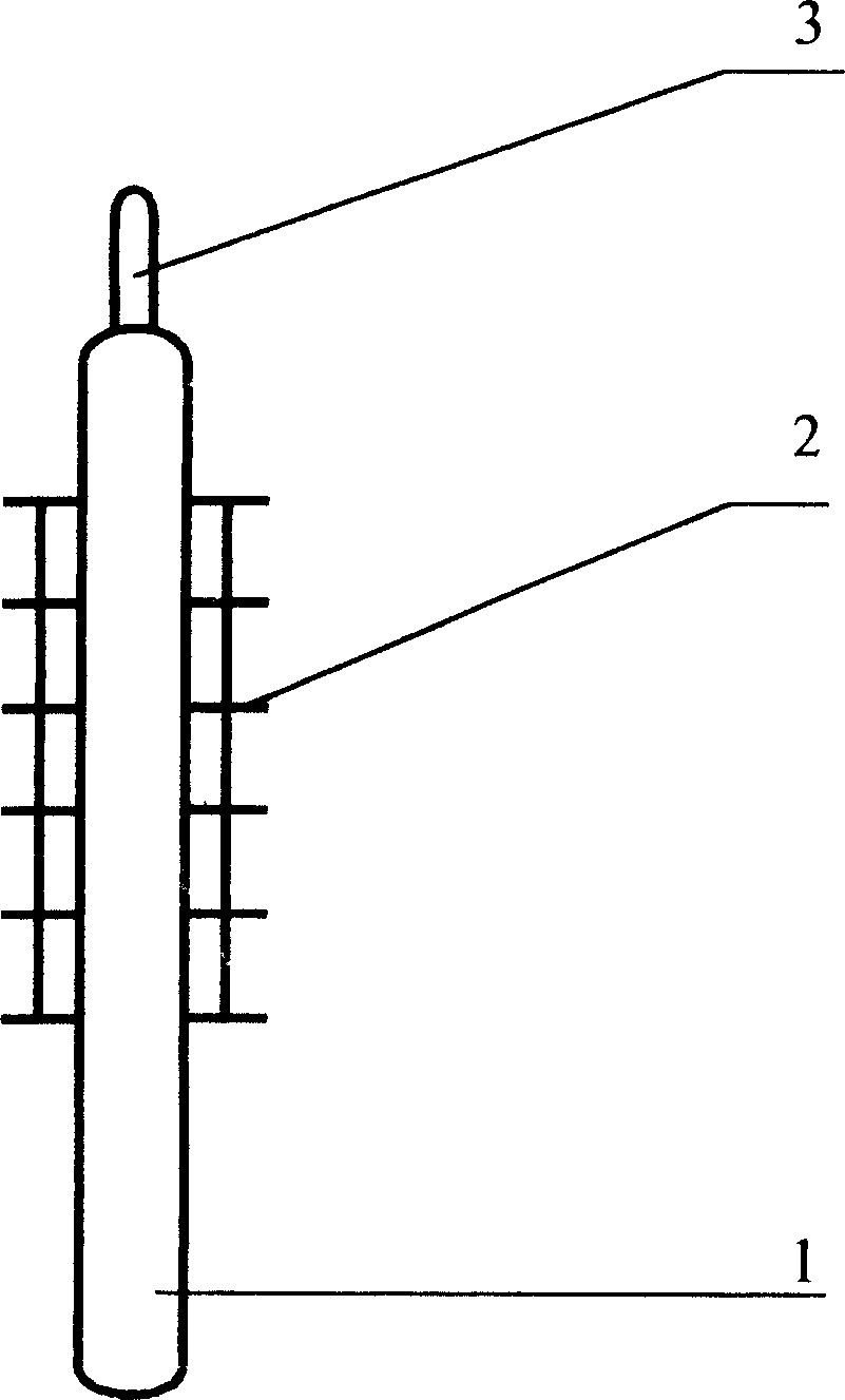 Novel composite roast food and its producing method