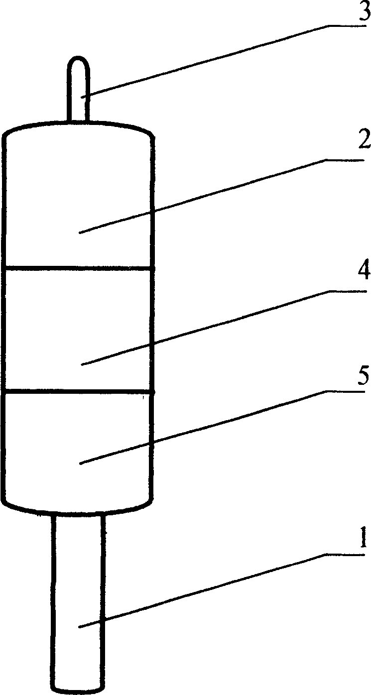 Novel composite roast food and its producing method