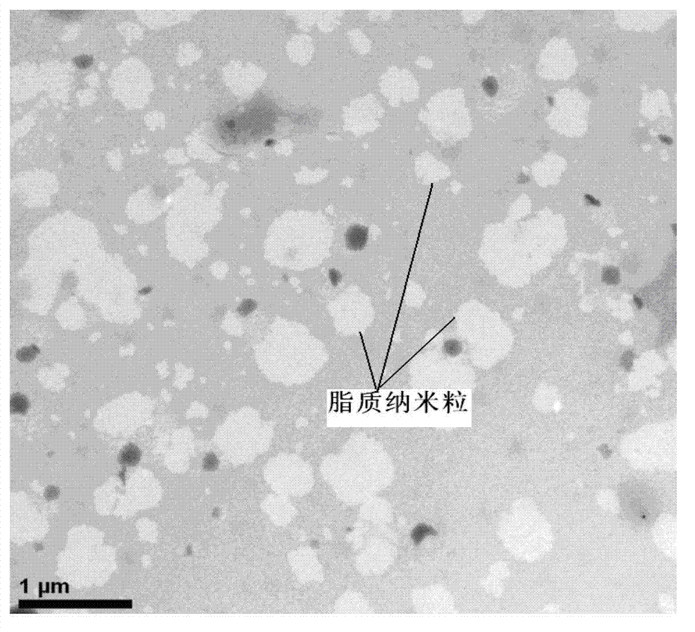 Asiatic acid lipid nanoparticle capable of stimulating oral absorption and preparation method thereof