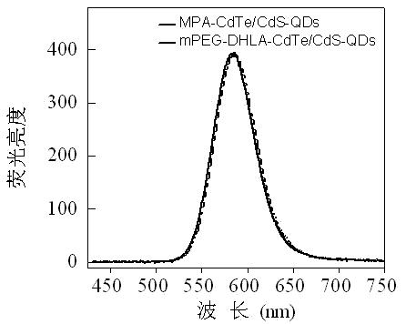 Bismercapto compound modified water-soluble quantum dot and its preparation method