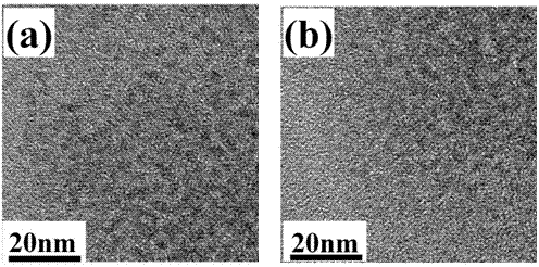 Bismercapto compound modified water-soluble quantum dot and its preparation method