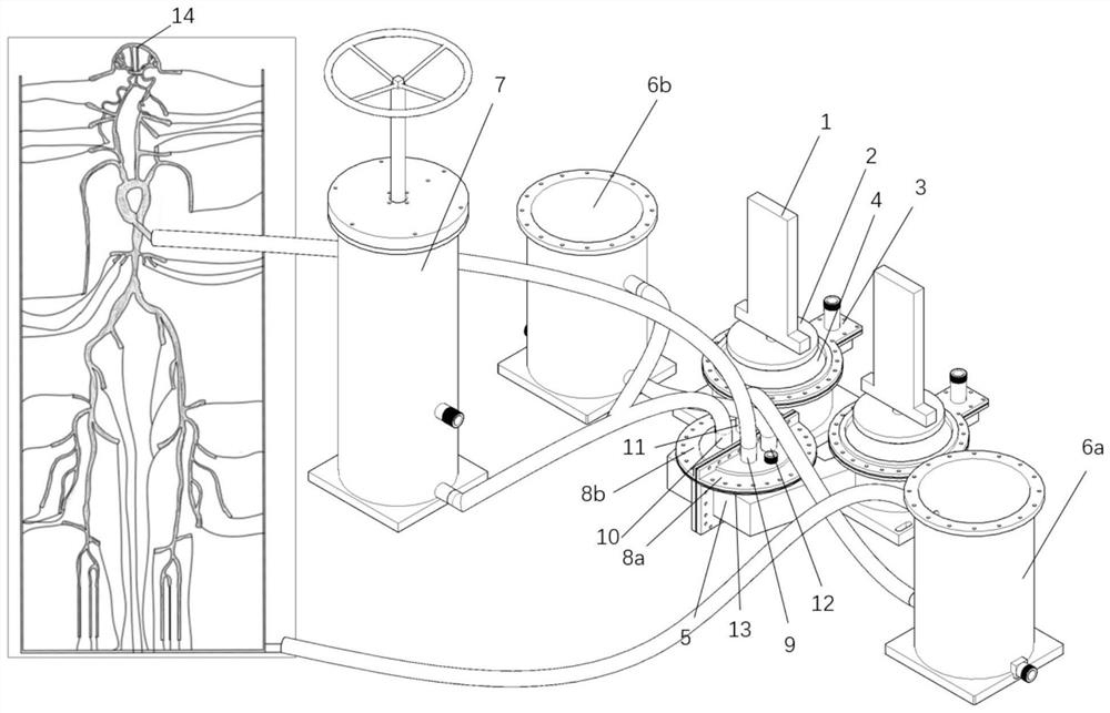 Physical platform for simulating occurrence and development process of typical pulmonary arterial hypertension