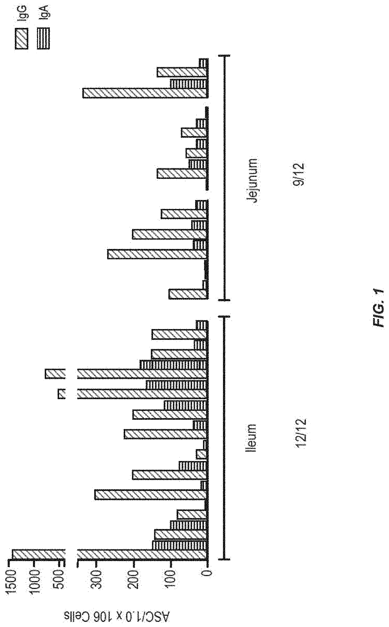 Formulations for small intestinal delivery of RSV and norovirus antigens