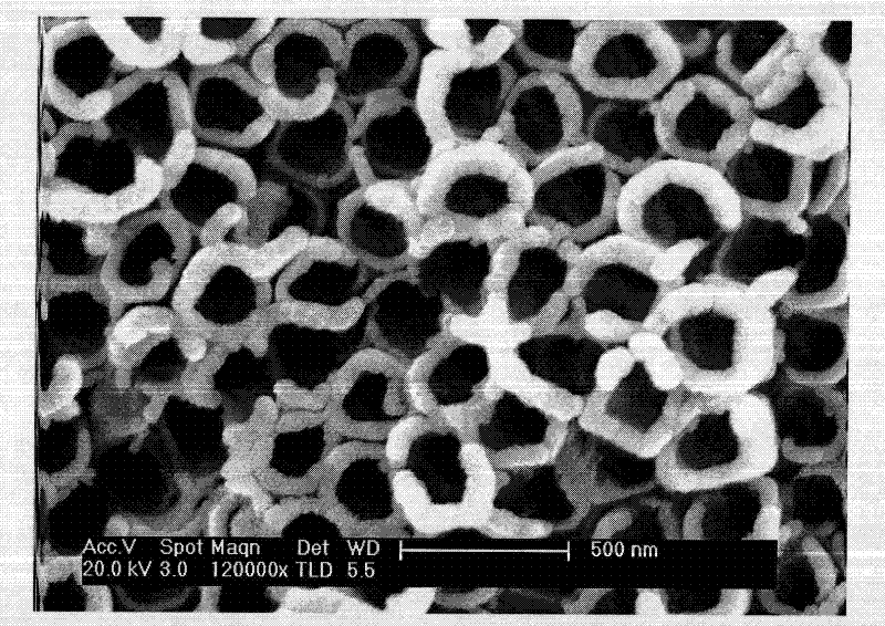 Rare earth element cerium slow-release artificial tooth root based on nanotube array surface