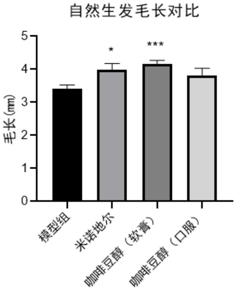 Application of caffeol in hair loss prevention and hair growth