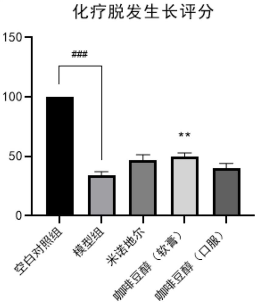 Application of caffeol in hair loss prevention and hair growth